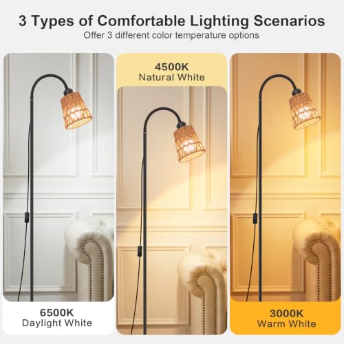 Boho Black Floor Lamp for Living Room (Black-1)