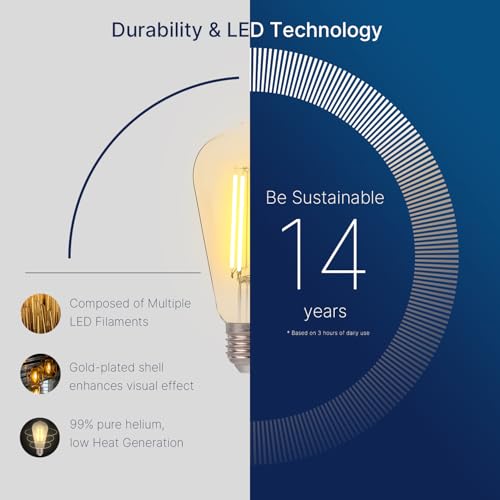 LED Edison Bulbs 100W Equivalent (6 Count)