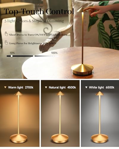 Portable Led Cordless Lamp Table Light 2 Pack