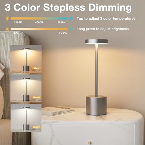 Grey Rechargeable Cordless Lamp (2 Count)