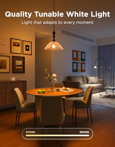 Smart Light Bulbs (4 Count)