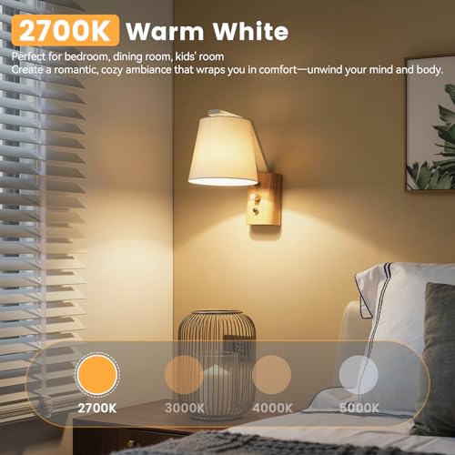 A19 LED Light Bulbs Dimmable (4 Count)