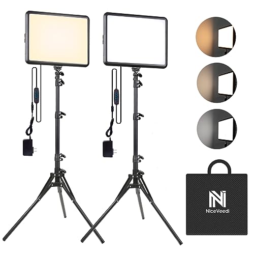 2 Pack 25W Photography Lighting (2 Count)