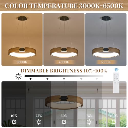 Modern LED Chandelier
