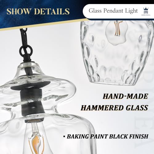 Farmhouse Black Glass Pendant Light