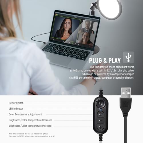 Basics 2 Pack 7" Desktop Ring Lights for Video Recording (2 Count)