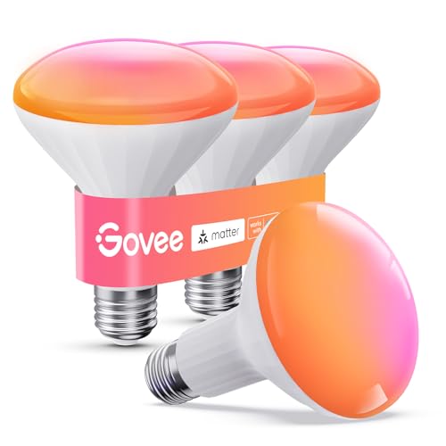 BR30 Smart Light Bulbs 850 LM (4 Count)