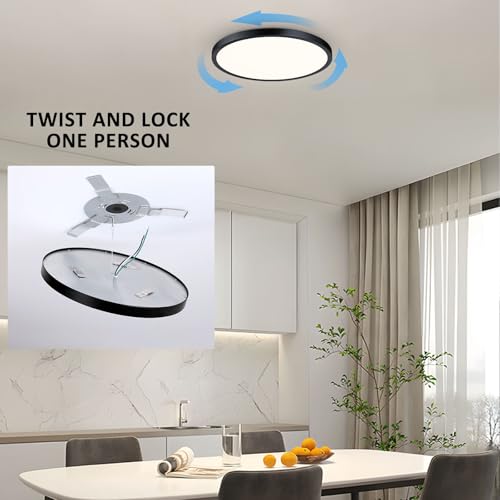 Flush Mount Ceiling Light Fixture (2 Count)