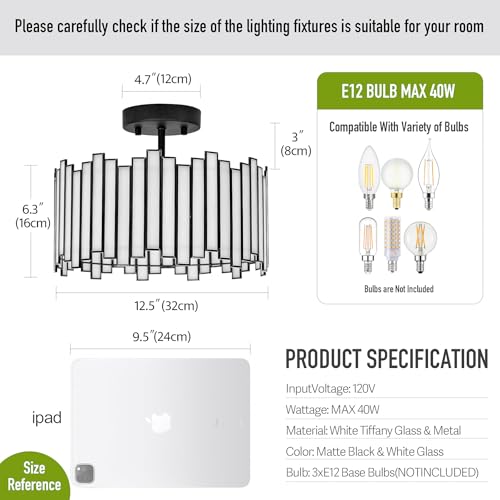 Black Ceiling Light Fixture in Drum Shape