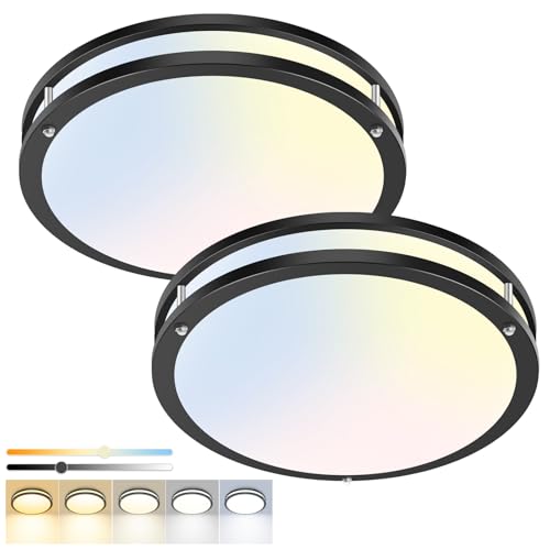 2 Pack Flush Mount Ceiling Light Fixture (2 Count)