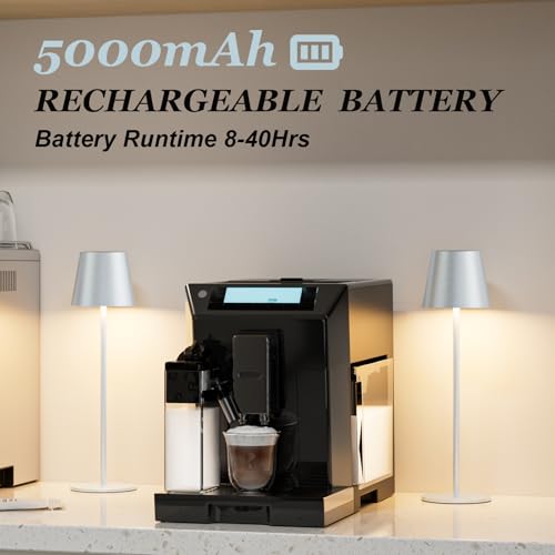 Silver Grey Cordless Lamp Rechargeable (2 Count)