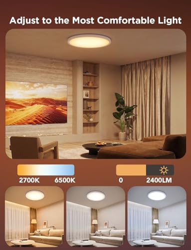 Smart Ceiling Light