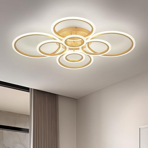 Modern LED Ceiling Light