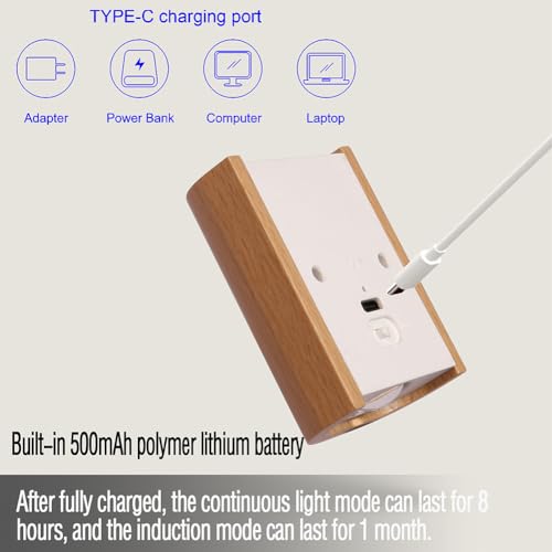 2 Pack Wood Step Light with Motion Sensor (2 Count)