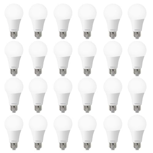 A19 LED Light Bulbs (24 Count)
