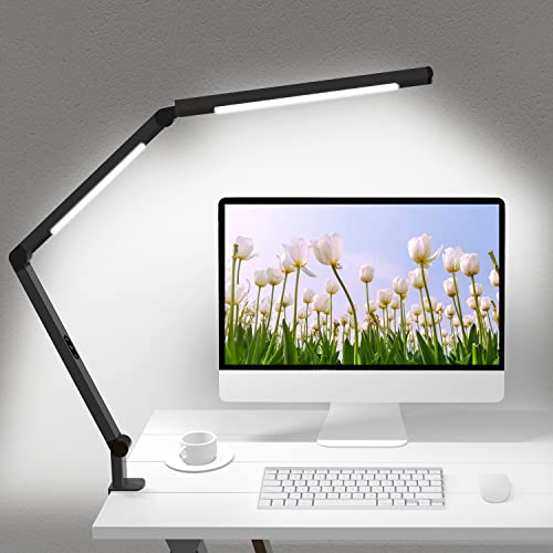 LED Desk Lamp with Clamp
