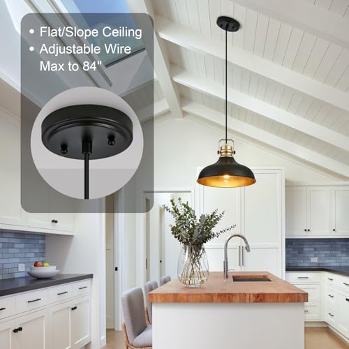 Black and Gold Pendant Lights Kitchen Island Fixtures