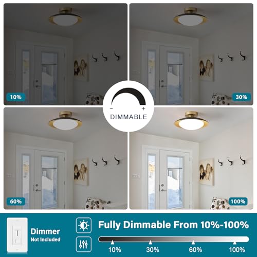 Dimmable Modern LED Black and Gold Ceiling Light Fixture 11.81 in