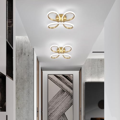 Modern LED Ceiling Light