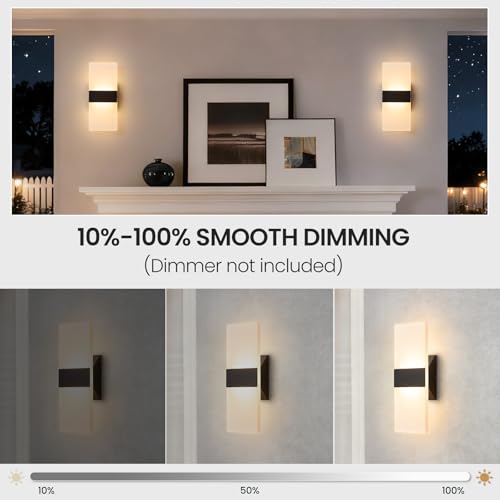 Modern LED Wall Sconce
