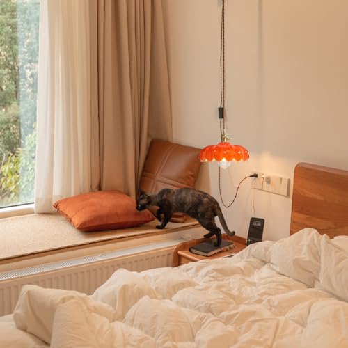 Plug in Pendant Light
