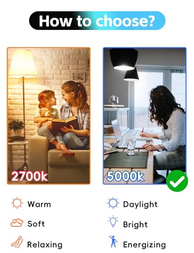 Edison Bulbs E26 LED Bulb 60 Watt Equivalent