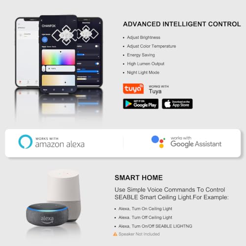 Smart LED Ceiling Light