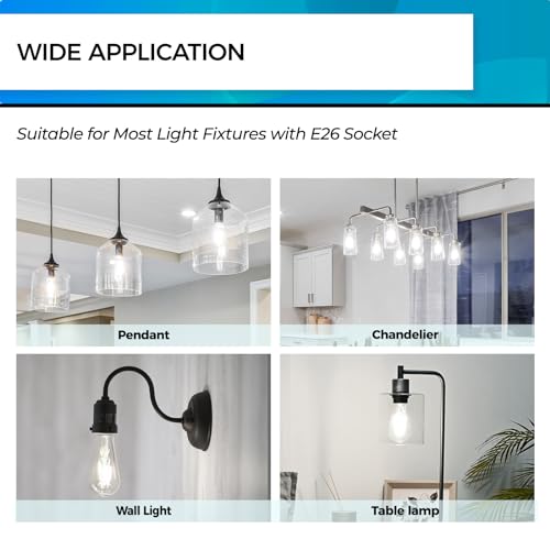 Edison Bulbs Dimmable (24 Count)