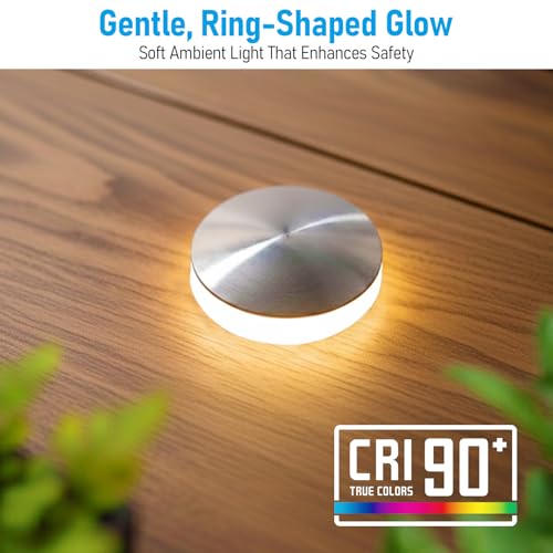 12 Pack 3000K Recessed Low Voltage LED Deck Light (12 Count)