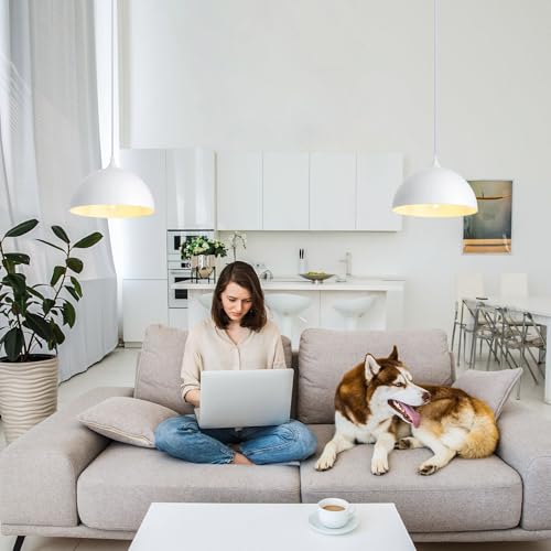 White Plug in Pendant Light (2 Count)