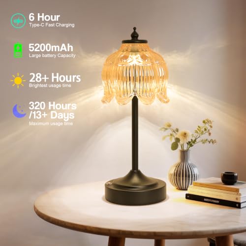 Cordless Table Lamp