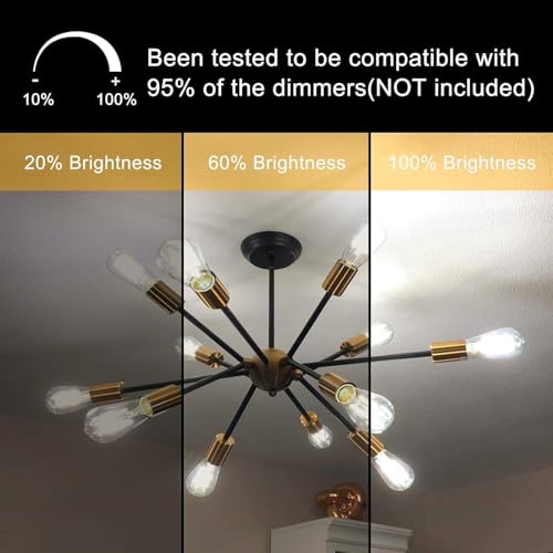 12 Pack Edison LED Light Bulbs (12 Count)