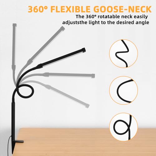 LED Desk Lamp with Clamp