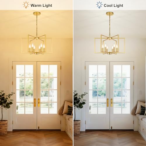 6 Light Gold Chandelier