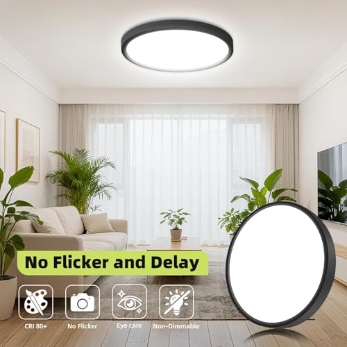LED Flush Mount Ceiling Light