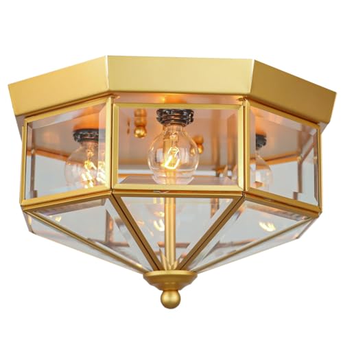 Flush Mount Outdoor Ceiling Light Fixture