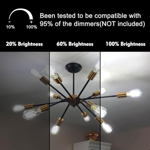 LED Edison Light Bulbs (20 Count)