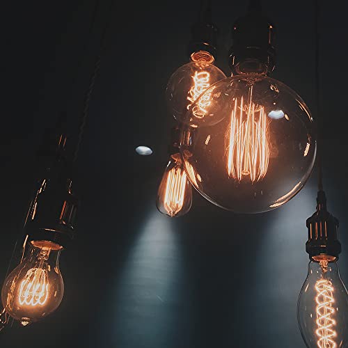 G25(G80) Globe Bulb Edison Light Bulbs, 60W Retro Incandescent Bulb, E26 Medium Base, 240 Lumens 2100K Warm White, Dimmable Home Light-4Pack (4 Count)