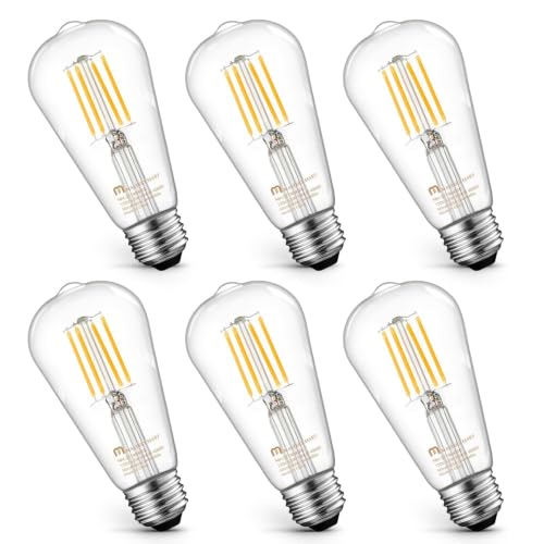 6 Pack Vintage Edison Bulbs (6 Count)