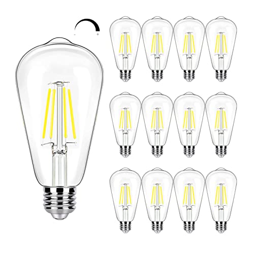 Dimmable LED Edison Bulb 40W Equivalent (12 Count)