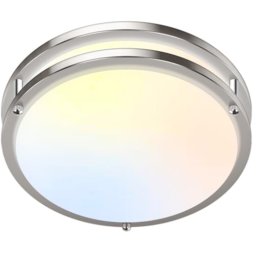 10 inch Dimmable LED Ceiling Light Fixture