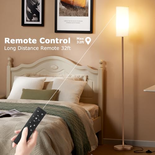 64'' Floor Lamps for Living Room with Remote Control and Stepless Dimmable Colors Temperature & Brightness