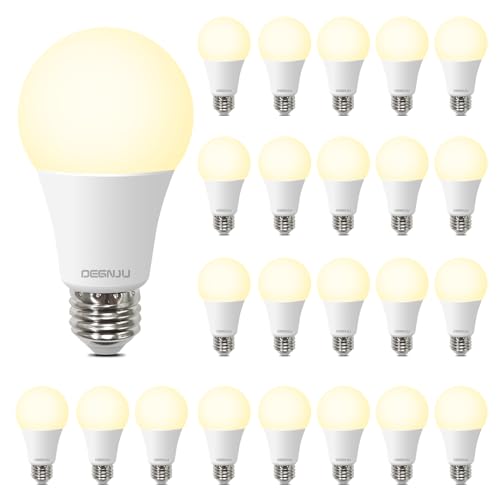 A19 LED Light Bulbs (24 Count)