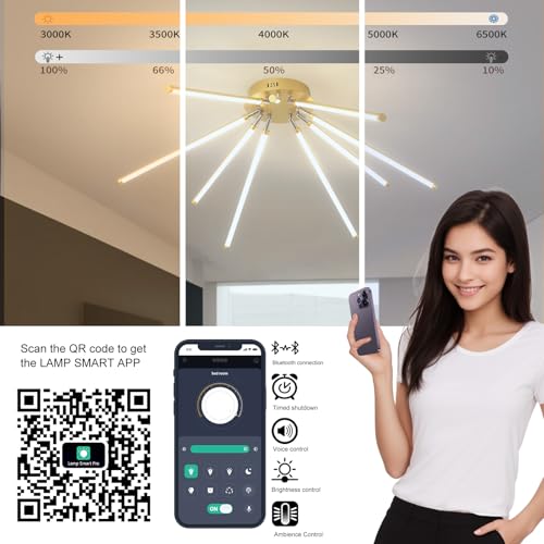 Modern LED Ceiling Light