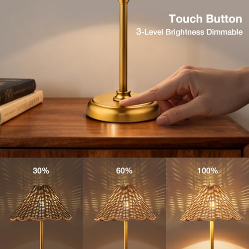 20.5'' Tall Cordless Boho Rattan Table lamp