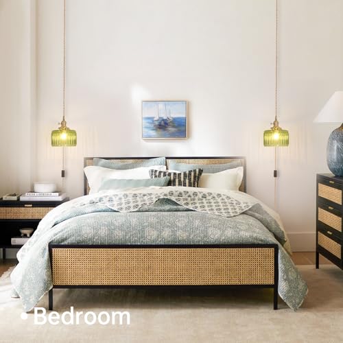 Plug in Pendant Light Hanging Light Fixtures with Plugin Cord On