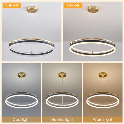 Modern LED Pendant Light D24in Black Gold Dimmable Circular LED Chandelier 1 Ring with Remote