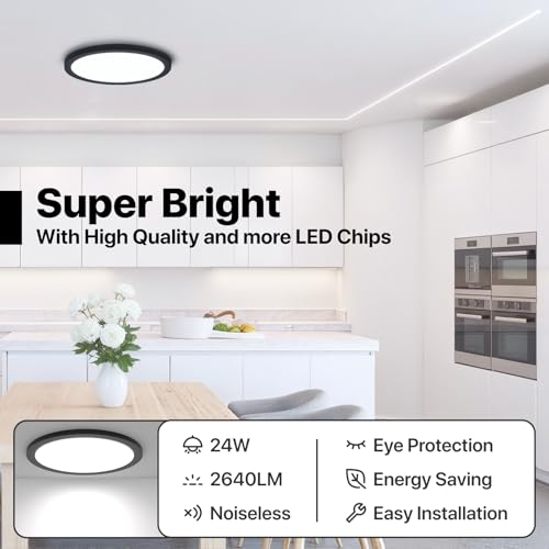 12 Inch Black LED Flush Mount Ceiling Light Fixture (2 Count)