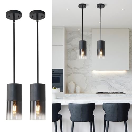 Pendant Light Fixtures (2 Count)