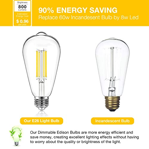 6 Pack Vintage LED Edison Bulbs (6 Count)